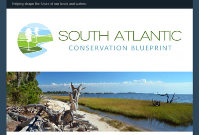 South Atlantic Blueprint February 2019 newsletter