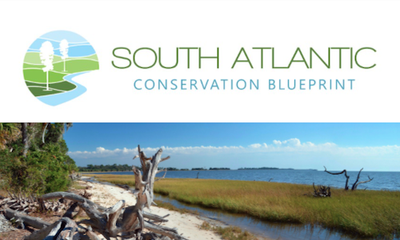 South Atlantic Conservation Blueprint Newsletter March 2022