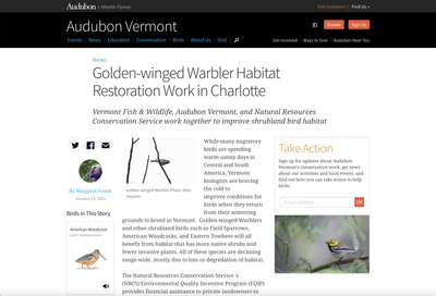 Golden-winged Warbler Habitat Restoration Work in Charlotte, VT