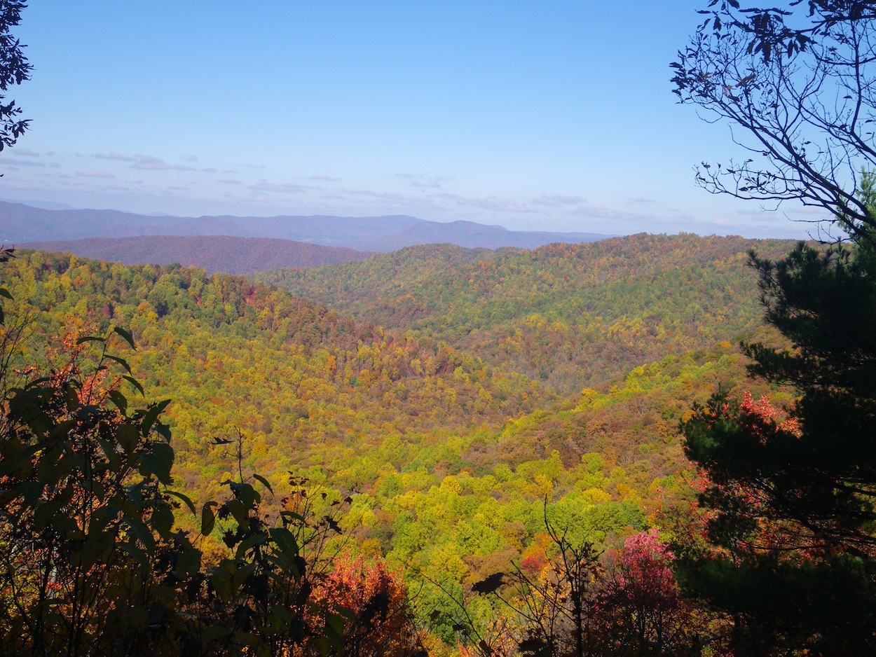 Lock Haven, Nature Conservancy Protect 5,200 Acres in Conservation Effort 