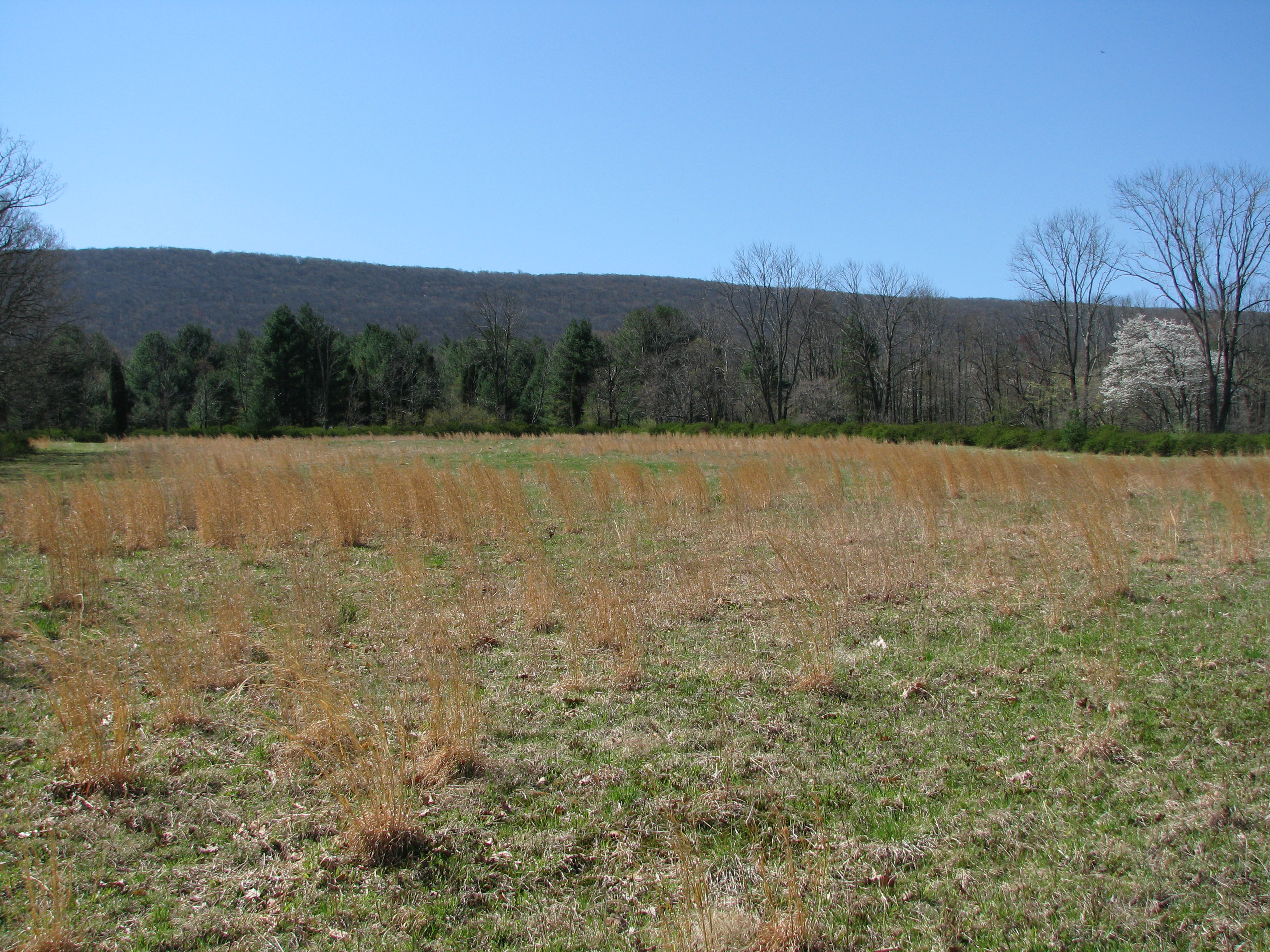 Restoration Effort Moving Forward with Land Acquisitions as Part of $21 Million Palmerton Zinc Natural Resource Damages Settlement