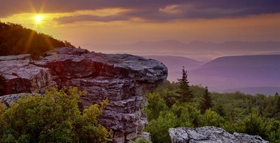 Scientists Locate Natural “Strongholds” that Could Protect Nature in the Face of Climate Change