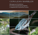 Cerulean Warbler Forest Management Project