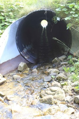 Oats Run, Upper Shavers Fork, Aquatic Passage Project in Pocahontas County, WV