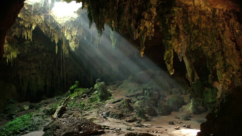 Fern Cave National Wildlife Refuge