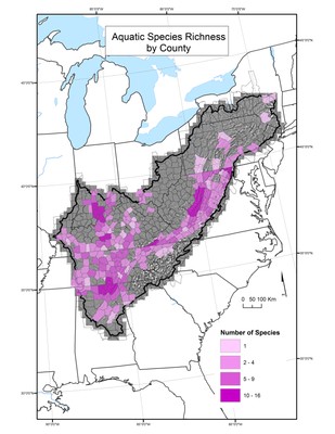 Aquatic Species Richness by County