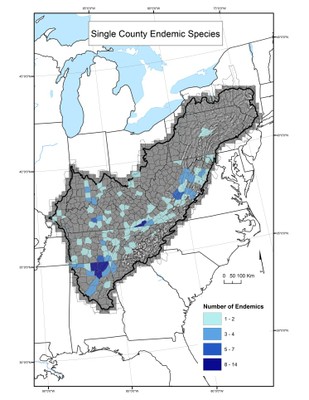 Single County Endemic Species