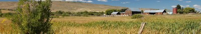 Working Lands Banner