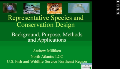 Representative Species and Conservation Design 