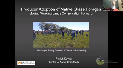 Producer Adoption of Native Grass Forages