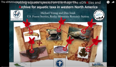 The eDNAtlas and Archive for aquatic taxa in Western North America